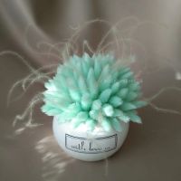 Лот: 15335155. Фото: 3. Декор цветы сухоцветы. Сувениры, подарки