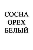 Лот: 5855830. Фото: 2. Герметик акриловый для дерева... Строительные материалы