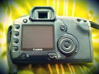 Лот: 1657216. Фото: 2. Canon EOS 5D - состояние идеал... Фотокамеры