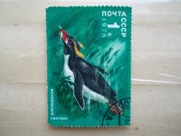 Лот: 21374003. Фото: 3. Ретро Марка: ПОЧТА СССР. Желтохохлый... Красноярск