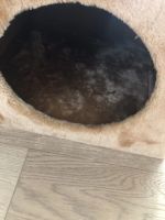 Лот: 16089470. Фото: 4. Домик для котов/кошек. Красноярск