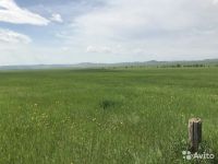 Лот: 12607249. Фото: 2. сено (в рулонах). Животные и уход