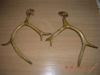 Лот: 1792880. Фото: 2. рога. Красноярск