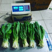 Лот: 13509017. Фото: 2. Черемша колба. Продукты