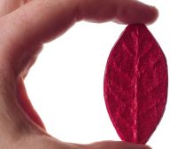 Лот: 19059547. Фото: 4. Дянь Хун "Лист", 8гр, красный...