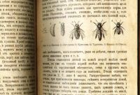 Лот: 18193485. Фото: 6. Горский П. Доходное пчеловодство...