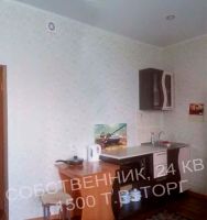 Лот: 12230337. Фото: 3. Продам студию 24 кв.м Борисова... Недвижимость