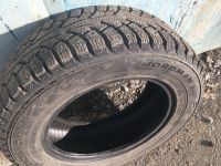Лот: 10532199. Фото: 2. Nokian Nordman 5. Шины, Диски