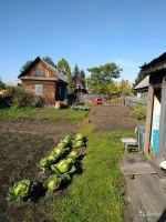 Лот: 14730365. Фото: 7. Дача. Канск. 6 сот.