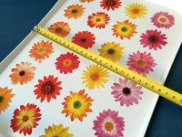 Лот: 19130888. Фото: 10. 🌸🌺 Поднос Бытпласт большой 27...
