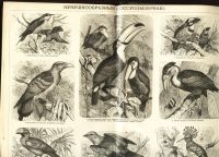 Лот: 14338223. Фото: 12. Энциклопедический словарь.* Брокгауз-Ефрон...