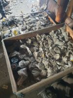 Лот: 19927039. Фото: 2. Фильтр сетчатый с пробкой Danfoss... Сантехника, водопровод