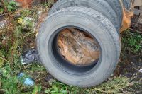 Лот: 6293101. Фото: 3. Dunlop Grandtrek ST1 (215/70R16... Авто, мото, водный транспорт