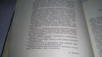 Лот: 11051290. Фото: 3. Лира: Классическая и современная... Литература, книги