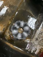 Лот: 15256729. Фото: 11. Автосервис СоюзАвто24