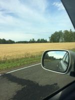 Лот: 16544732. Фото: 8. Колпачки ДЛЯ дисков Колпаки Вставки...