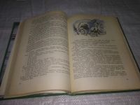 Лот: 21276300. Фото: 4. ок....(2092310) Дом с привидениями...