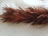 Лот: 20334040. Фото: 2. перо. Рыбалка