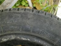 Лот: 2917081. Фото: 2. Matador Prima R14 175/65 летние... Шины, Диски