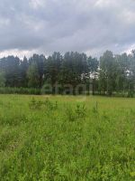 Лот: 25618007. Фото: 11. участок , СНТ Рублёвка Смоленская...