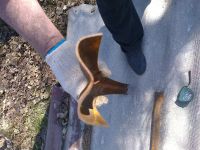 Лот: 4028561. Фото: 3. Теплица (каркас). Для дачи, дома, огорода, бани, парка