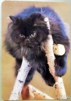 Лот: 13315380. Фото: 2. Календарики карманные. Фауна... Открытки, билеты и др.