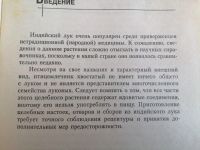 Лот: 25512479. Фото: 4. Индийский лук-природный целитель... Красноярск
