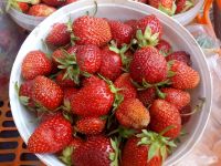 Лот: 5772968. Фото: 2. Виктория свежая (своя). Продукты