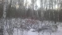 Лот: 4919331. Фото: 2. Продам участок в мкр Чистый с... Продажа