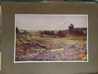 Лот: 19946939. Фото: 5. 12 Альбомов . The Nations Pictures...