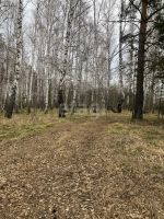 Лот: 25291425. Фото: 19. 2-комн. дача , СНТ Звёздочка СНТ...