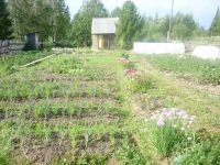 Лот: 4265023. Фото: 3. Продам дачу на ст.Крючково. Недвижимость