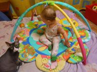 Лот: 6525445. Фото: 4. Развивающий коврик Б/У с 1 рубля