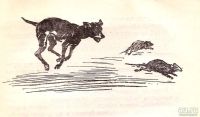 Лот: 15765064. Фото: 6. Перфильева Анастасия - Пять моих...