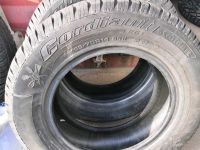 Лот: 12006663. Фото: 3. Cordiant Standart 185/70 R14. Авто, мото, водный транспорт