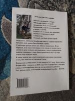 Лот: 25850433. Фото: 6. Олег Лопатин КАТЭК Незаконченная...
