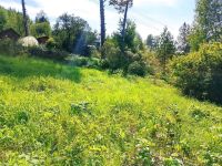 Лот: 25527366. Фото: 13. 2-комн. дача , СНТ Ветеран-2 СНТ...