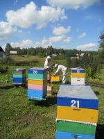 Лот: 14911912. Фото: 7. Мёд натуральный с разнотравья