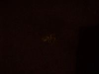 Лот: 6818260. Фото: 5. Свитер кофта чёрный женский с...