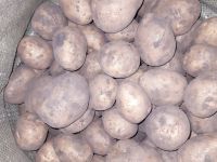 Лот: 19488467. Фото: 2. Картофель. Продукты