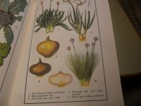 Лот: 7570981. Фото: 7. Книга "Огородничество" 1994 год...