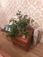 Лот: 15223749. Фото: 3. спальный гарнитур. Мебель