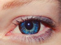 Лот: 10561903. Фото: 3. Голубые линзы с шоколадным контуром. Красота и здоровье