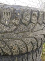 Лот: 14843063. Фото: 2. Шины Nokian HAKA 5. Шины, Диски