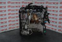 Лот: 8439483. Фото: 2. Двигатель Nissan QR20DD NeoDi... Автозапчасти