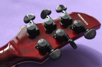 Лот: 11549966. Фото: 5. Fernandes Dragonfly Deluxe Made...