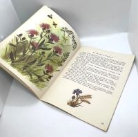 Лот: 25169609. Фото: 11. 📗 Анатолий Онегов. На лугу. Худ...