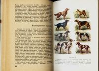 Лот: 15479089. Фото: 6. Кудрявцев Е. Охота. (Карманный...