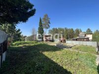 Лот: 25291138. Фото: 3. 1-комн. дача , садоводческое некоммерческое... Недвижимость