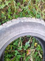 Лот: 18097065. Фото: 2. Шины Nokian 195/65 R15. Шины, Диски